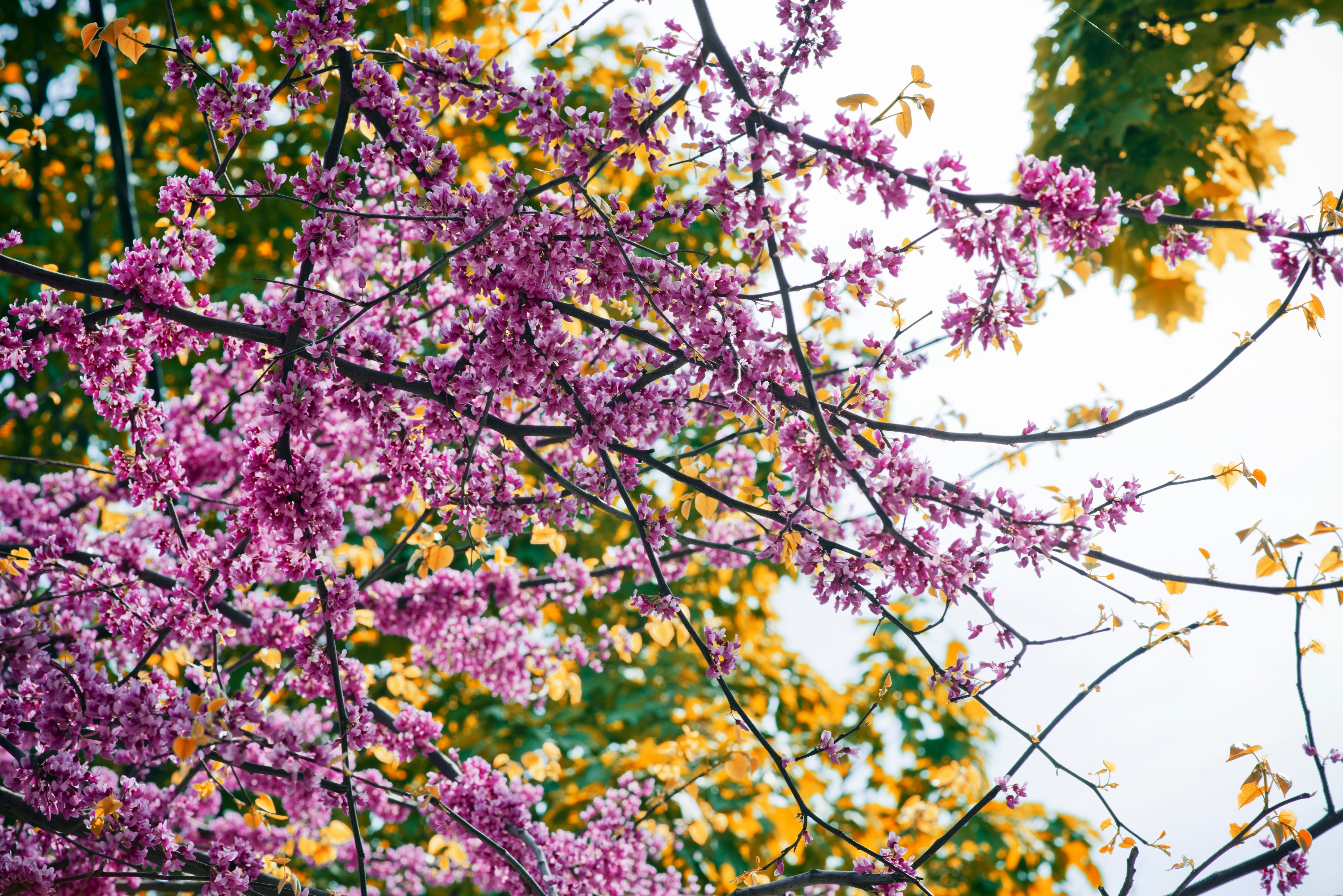 Three Spring Maintenance Tips!